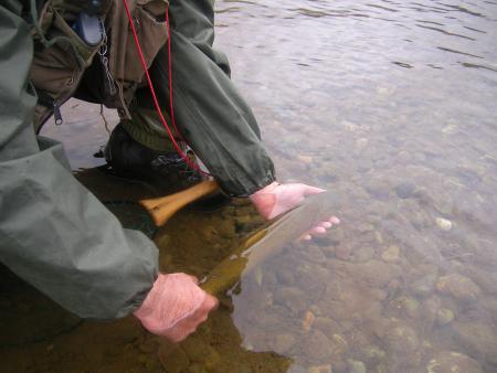 Re: Y ESTO COMIENZA EN TRES, DOS, UNO YA..........!!!!!!